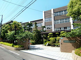 高校・高専　太成学院大学 高等学校（高校・高専）まで1974m