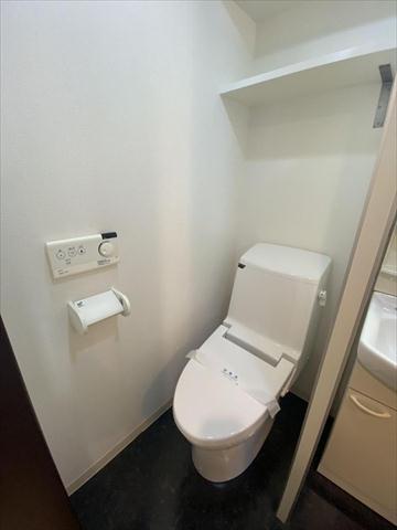 ライオンズ千代田岩本町ミレスーKDAのトイレ写真