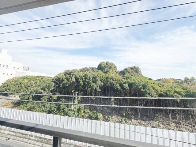 眺望　眺望です