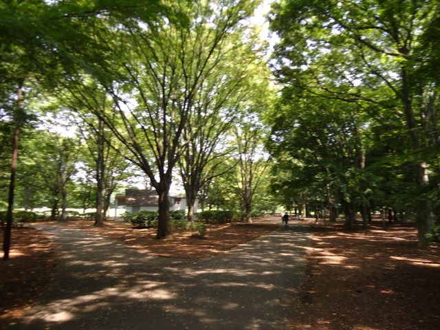 その他　深大寺植物公園（その他）まで300m