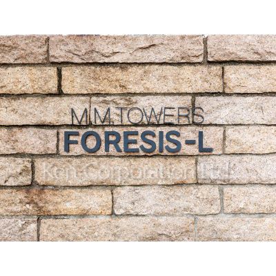 M.M.TOWERS FORESIS L棟-Cのその他写真