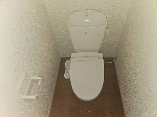 トイレ　備品や設備仕様は号室等により異なります。現地をご確認下さい。