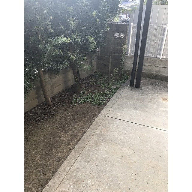 庭