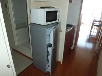 その他　冷蔵庫と電子レンジ。