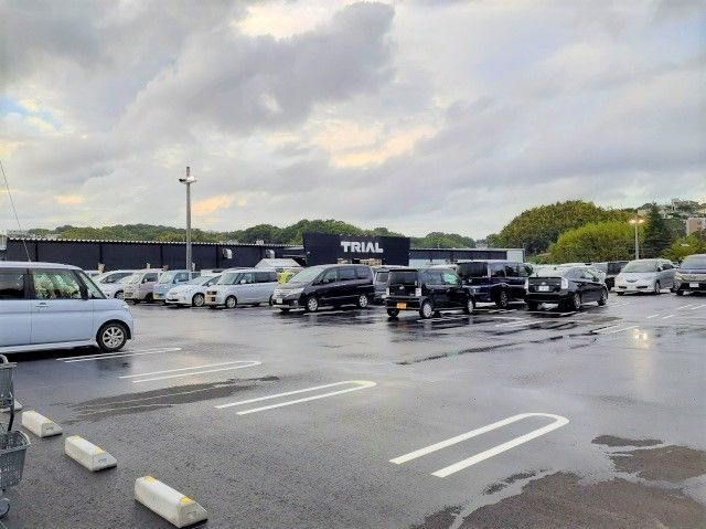 ホームセンター　トライアル　上熊本店（ホームセンター）まで1100m