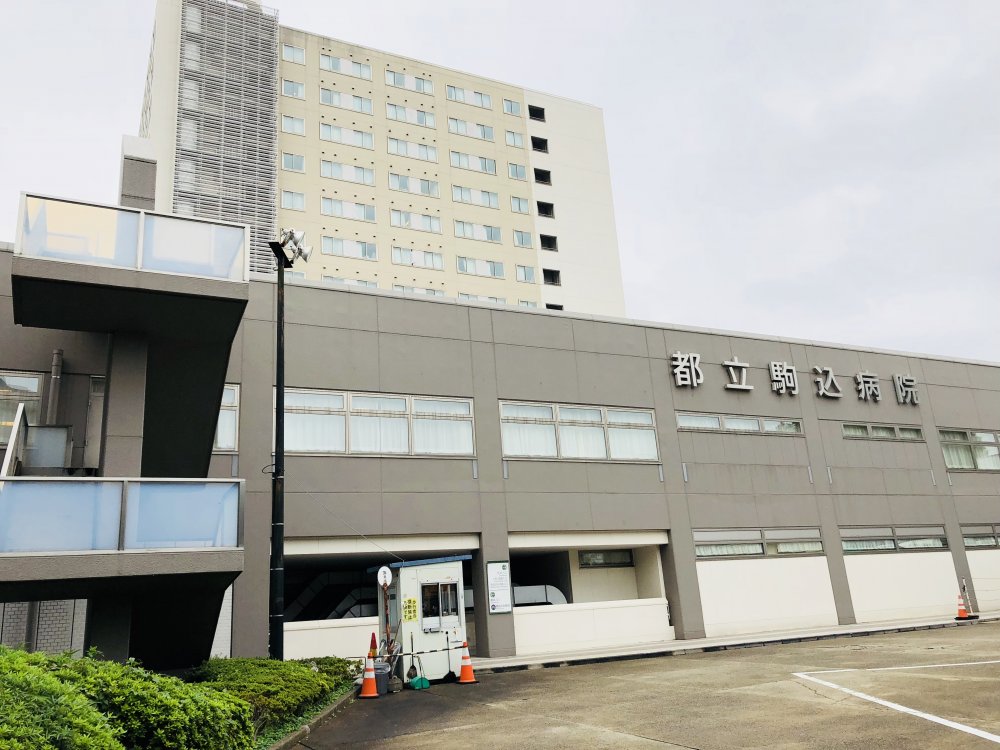 病院　都立駒込病院（病院）まで493m