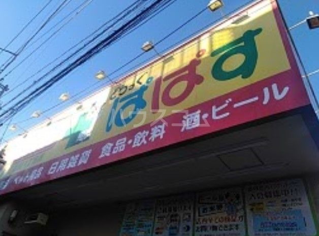 ドラックストア　どらっぐぱぱす 世田谷1丁目店（ドラッグストア）まで293m