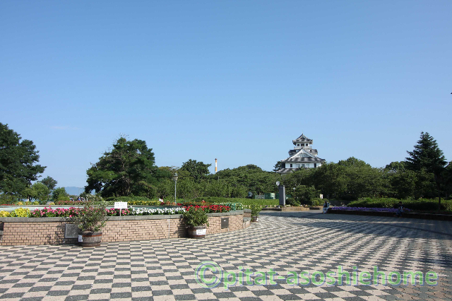 公園　豊公園（公園）まで1500m
