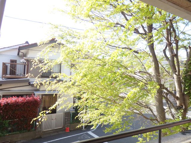 眺望　目の前の木から自然が感じられます
