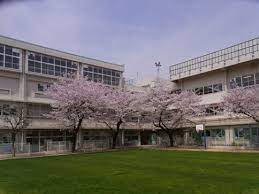 小学校　江東区立八名川小学校（小学校）まで311m