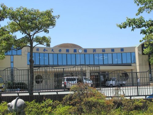 幼稚園・保育園　清和大学 附属畑沢幼稚園（幼稚園・保育園）まで667m