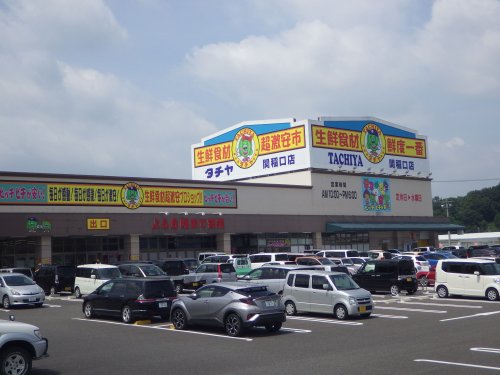 スーパー　タチヤ 関稲口店（スーパー）まで856m