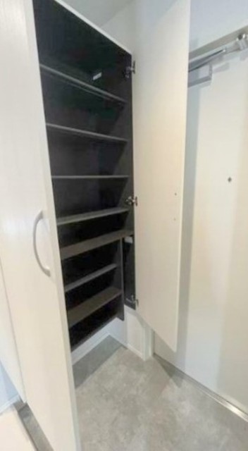 玄関　同仕様タイプ