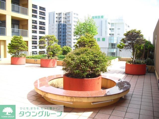 庭
