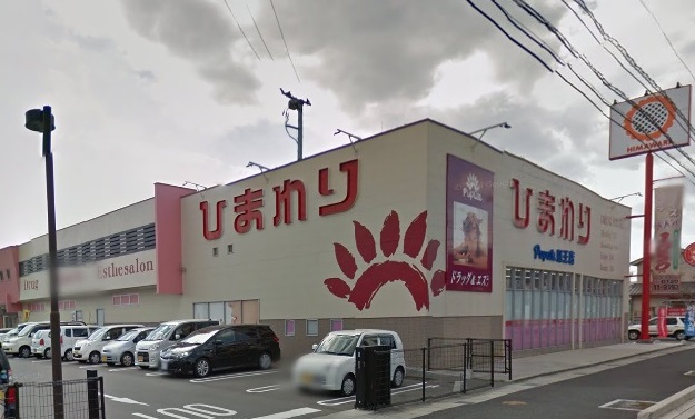 ドラックストア　ププレひまわり蔵王店（ドラッグストア）まで678m