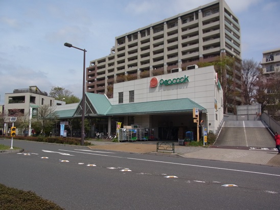 スーパー　ピーコックストア花小金井店（スーパー）まで583m