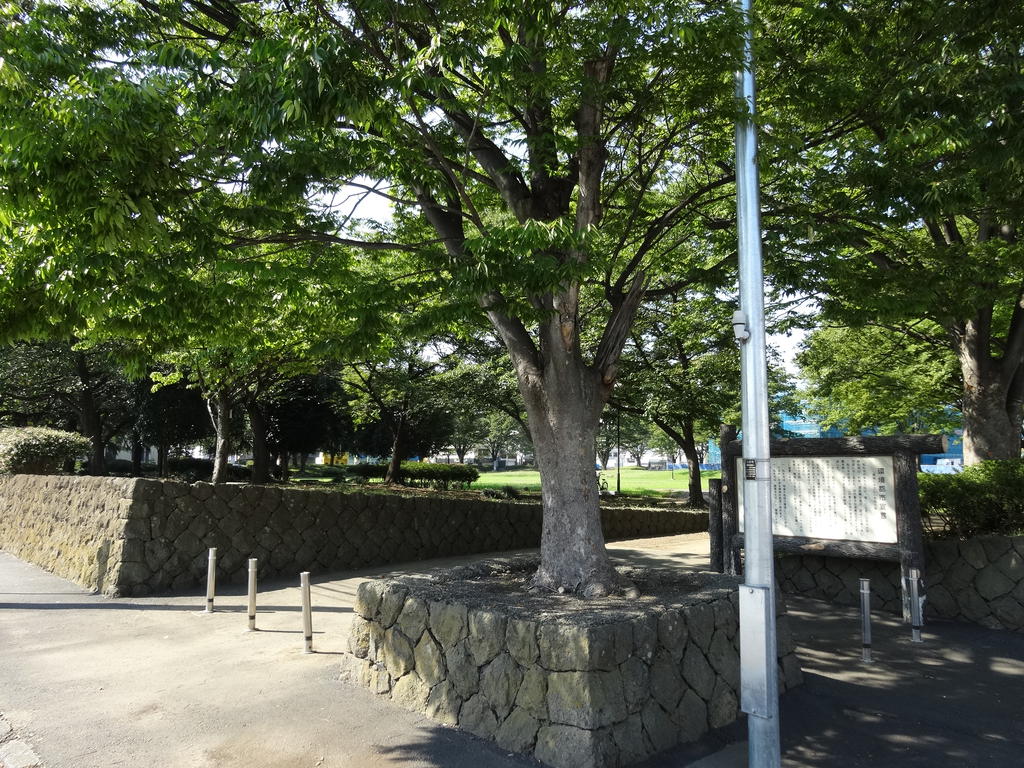 【パーチェ飯田の公園】