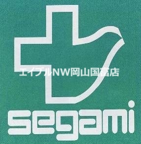 ドラックストア　ドラッグセガミ岡山表町店（ドラッグストア）まで198m
