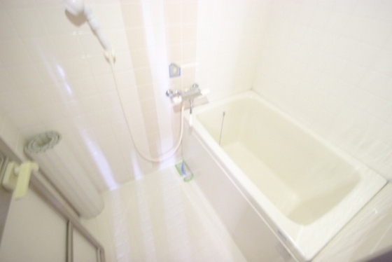 バス・シャワールーム　※別部屋の写真です