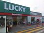 スーパー　LUCKY(ラッキー) 新琴似四番通店（スーパー）まで363m
