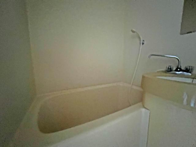 バス・シャワールーム　コンパクトで使いやすいお風呂です