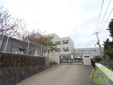 小学校　神戸市立白川小学校（小学校）まで133m