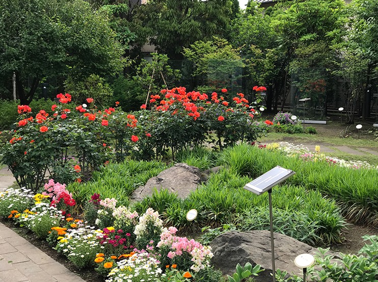 公園　ねむの木の庭（公園）まで932m
