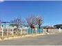 幼稚園・保育園　アリス保育園（幼稚園・保育園）まで1408m