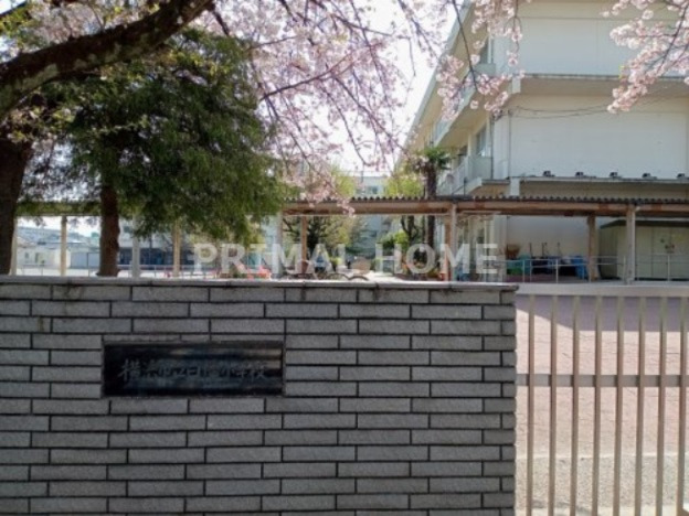 小学校　横浜市立白幡小学校（小学校）まで346m