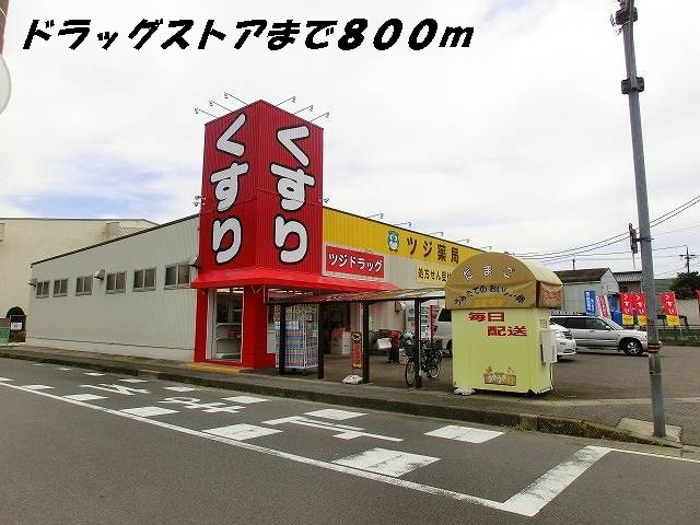 ドラックストア　ツジ薬局（ドラッグストア）まで800m