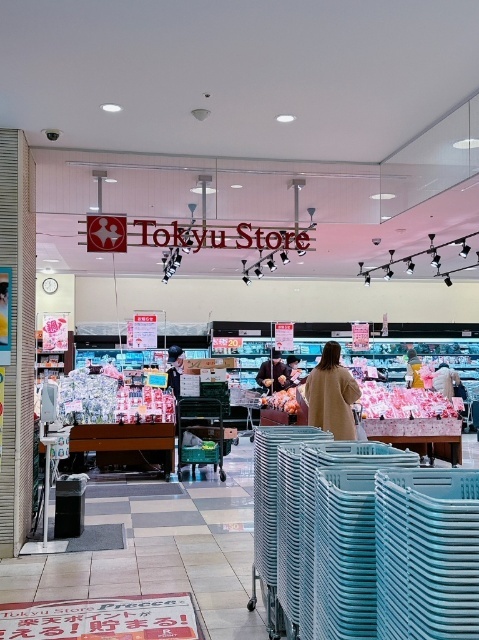 スーパー　東急ストアフードステーション西小山店（スーパー）まで434m