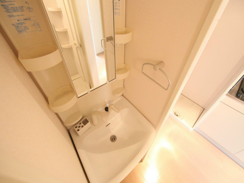 洗面設備　独立洗面台（シャンプードレッサー付）収納スペース有