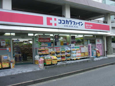 ドラックストア　ココカラファイン東中野5丁目店（ドラッグストア）まで588m