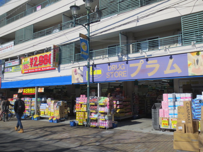 ドラックストア　ドラッグプラム（ドラッグストア）まで213m