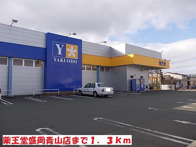 ドラックストア　薬王堂盛岡青山店（ドラッグストア）まで1300m