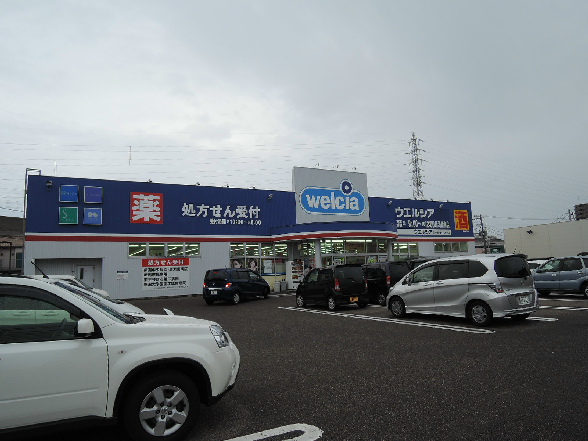 ドラックストア　ウエルシア 新潟新和店（ドラッグストア）まで735m