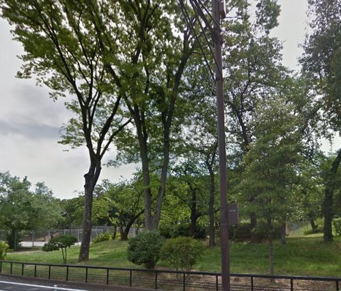 公園　都立青山公園（公園）まで500m