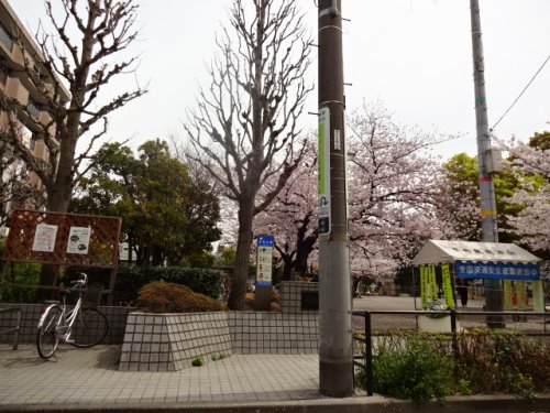 公園　平井公園（公園）まで174m