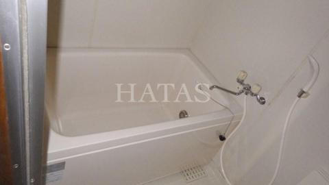 バス・シャワールーム　同物件別部屋です。