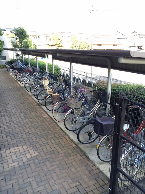 その他共有部分　広い自転車置場