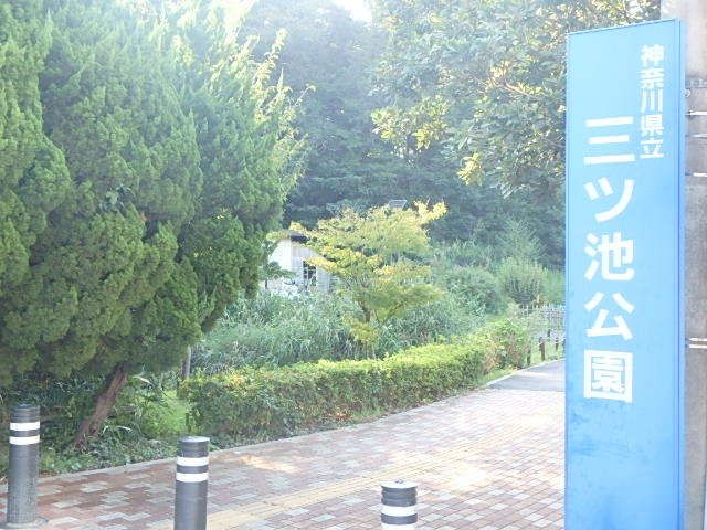 その他　三ツ池公園（その他）まで998m