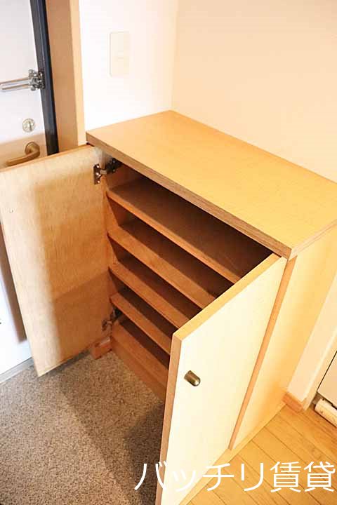 玄関　＊画像は別部屋の為イメージ、現状優先致します