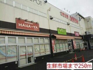 スーパー　生鮮市場（スーパー）まで250m