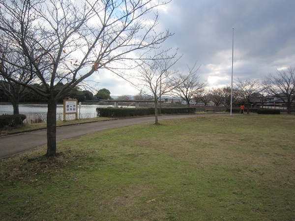公園　池田湖公園（公園）まで268m
