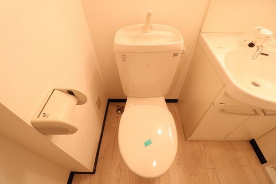 トイレ　※別号室の写真です