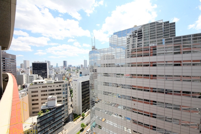 眺望　カスタリアタワー肥後橋