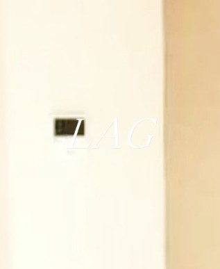 その他　モニター付きインターホンです。