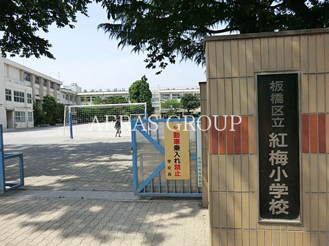 小学校　板橋区立紅梅小学校（小学校）まで637m
