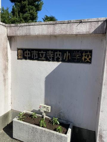 小学校　寺内小学校（小学校）まで718m