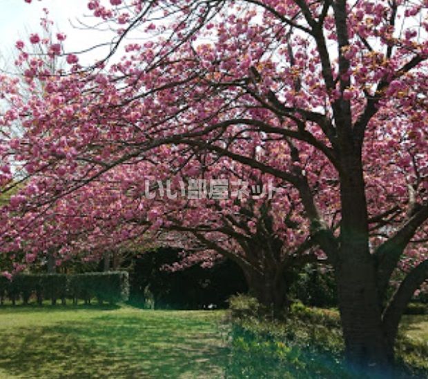 公園　大崎台公園（公園）まで2629m